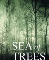 The Sea of Trees /  